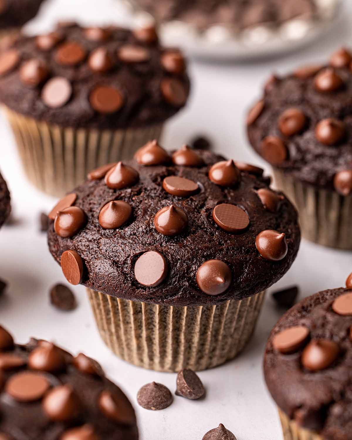 Chocolate Muffin